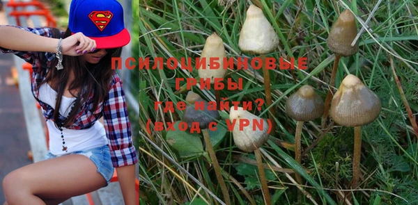 mdpv Алексин