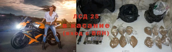 твердый Алзамай