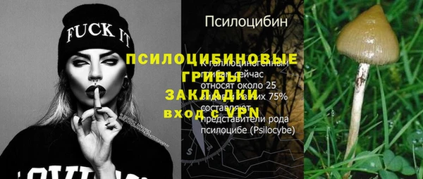 твердый Алзамай