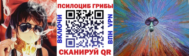 Псилоцибиновые грибы GOLDEN TEACHER  где купить наркоту  Чишмы 